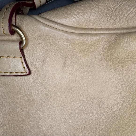 Dooney & Bourke Florentine Leather Mini Zip Crossbody – Bone - Picture 4 of 7